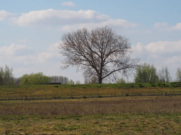 Kalkense Meersen (België)